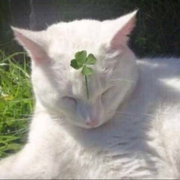 rileycraigg